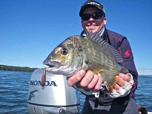 Honda powers on in bream circuit